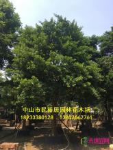 所有产品